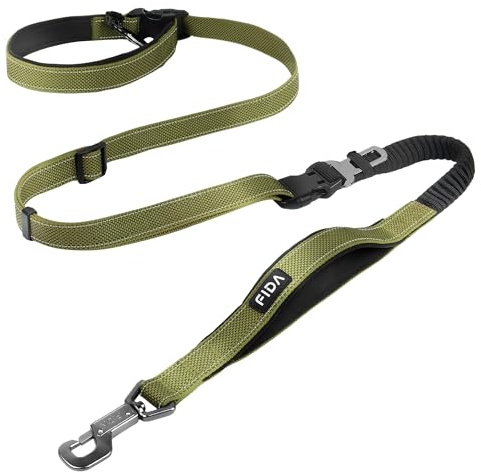 Fida 6-in-1 Hands Free Dog Leash Heavy Duty, Reflective Wasit Corssbody Dog Leash with Car Seat Clip | Adjustable for Running Hiking | Shock Absorbing Bungee, Dual Padded Detachable Handles (Green)