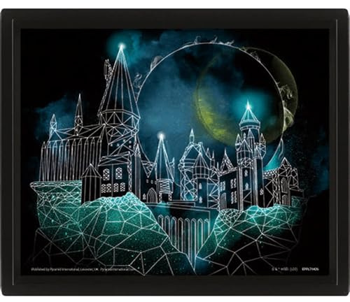 Pyramid International – 3D Lenticular Frame – True Motion and Depth Effect – Harry Potter – Hogwarts – Birthday Gift Idea – 25.5 x 20.5 – Officially Licensed