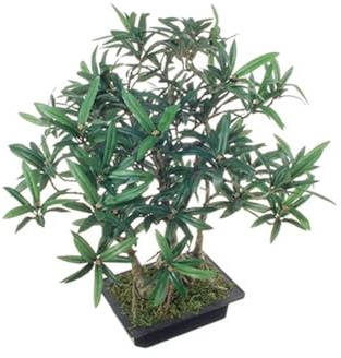 artplants.de Kunstbaum Bonsai Steineibe ALIKANA mit Wurzeln, 45cm