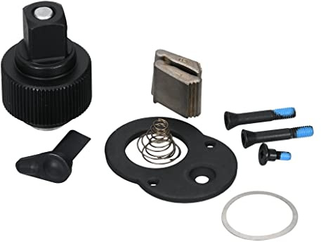 SW-Stahl 05890L-REP Reparatursatz für 3/8 Zoll Umschaltknarre 05890L | Ersatzteilsatz zur Instandsetzung der Ratschenmechanik, passend für die 3/8 Zoll Ratsche, inklusive Innenteile