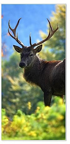banjado® Magnettafel 37 x 78cm / Magnetwand aus Metall/Magnetpinnwand als Memoboard/Pinnwand Magnettafel Küche, Büro, Kinderzimmer inkl. 4 Magnete & Montageset - Motiv Hirsch