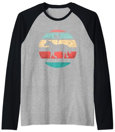 Voltigieren Pferd Reitsport Raglan