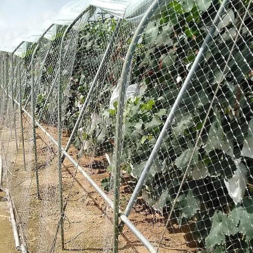 Gartennetz (kommerzielles Vogelschutznetz for Pflanzen/Obstbäume/Erdbeeren) Weißer, robuster Kunststoffzaun, Tierbarriere(5x10m/16.4x32.8ft)