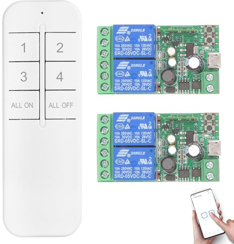 DieseRC 2 x 2 kanaler WIFI intelligent strömbrytare med 1 x Bluetooth-sändare, DC 5 V 12 V 24 V 36 V passiv utgång relämodul torr kontakt Ewelink APP kompatibel med Alexa/Google Home