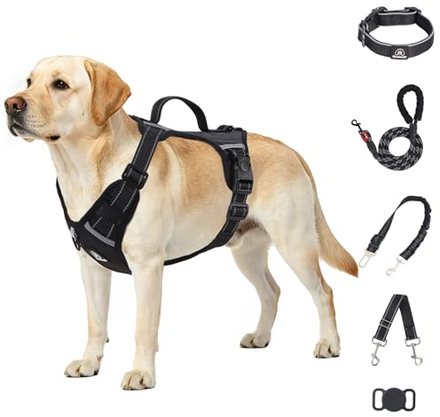IEUUMLER No Pull anti-drag-hundsele justerbar sele med koppel, säkerhetsbälte och backup-band, justerbar, AirTag-kompatibel, för små till stora hundar EU021 (svart, M)