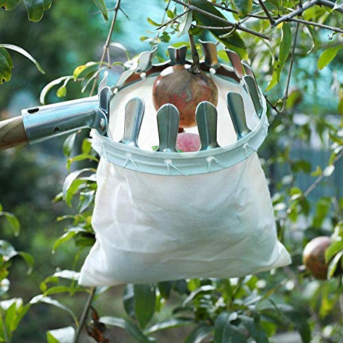 Fruit Picker Head,Metal Fruit Harvester Basket Garden Picking Tool Fruit Catcher Net for Apple Orange Peach Pear, Outdoor Fruit Picking Tool Garden Tools