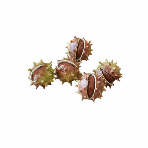 Loberon Deko-Kastanie 5er Set Léo, handgefertigt und von Hand bemalt, naturgetreue Nachbildung, Dekoration, Dekoobjekt, Polyresin, rot/braun/grün