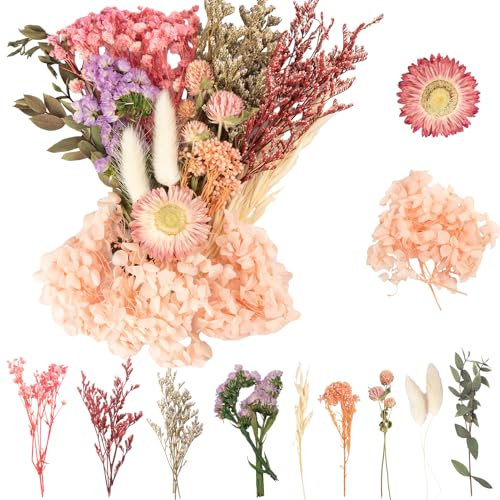 LAUMOE Trockenblumen, Getrocknete Blumen, Trockenblumen Zum Basteln Set ​für Kunst DIY Harz Scrapbooking Handwerk Karten Machen (Stil 5)