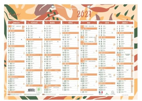 Exacompta - 34204E - Calendario Forever riciclato - 33,5 x 43 cm - 7 mesi per faccia - gennaio 2025 a gennaio 2026