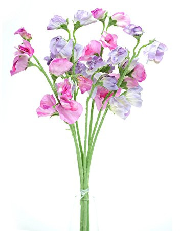 FloristryWarehouse Artificial silk Sweetpea pink & lilac stems Sweet Pea flowers 40cm