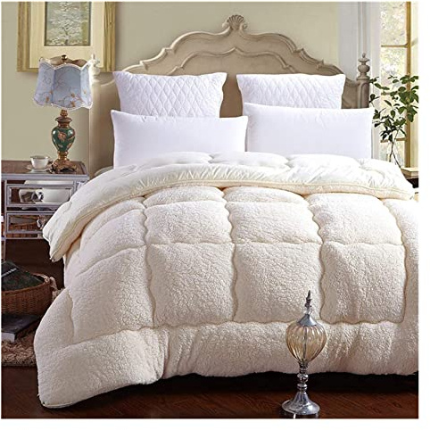 XHDZSW Édredon en Velours d'agneau, Remplissage à 100% en Microfibre Couette en Duvet d'hiver en Coton, Respirant Et Doux pour La Peau (Blanche,150 x 200 cm 2.5 kg)