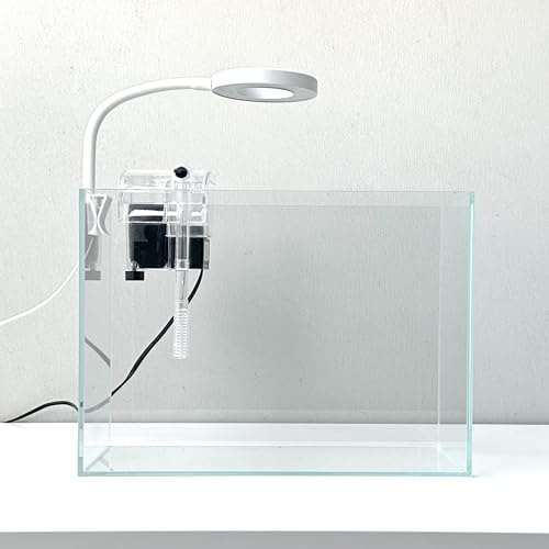 Nano Aquarium Kit 2.2 Gallon, Rimless Glass Betta Fish Tank with Filter & LED Light, 12 x 6 x 8 Small Desktop Fish Tank for Home Office (Transparent, Essential)