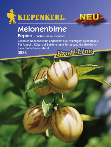 Sperli Gemüsesamen Melonenbirne Pepino, grün