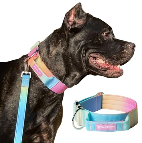 Spark Paws Taktisches Hundehalsband – Robuste, Premium-Qualität, Dick und Langlebig für Große und Mittelgroße Hunde - Pastel Icing - L, 5cm