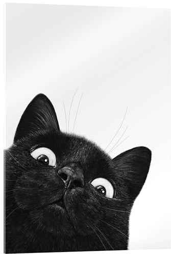 Posterlounge Lustige schwarze Katze Acrylglasbild | 13 x 18 cm von Valeriya Korenkova Schwarz-Weiß Wandbilder Wanddeko