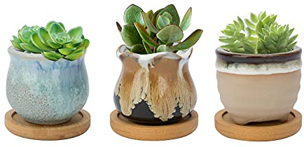 FORAGIFT Lot de 3 pots de cactus en céramique de 6,5 cm pour plantes grasses d'intérieur et d'extérieur, petit pot de fleurs avec drainage et plateau en bambou, idéal pour la décoration de la maison