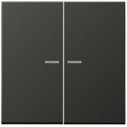 Schlüssel KNX RF 2 Phasen LS anthrazit (Referenz: Jung AL10921STRFAN)