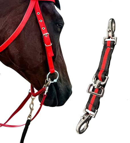 Horse Lunging Strap, Horse Lunge Line with Swivel, Premium Quality Lunging Aid for Horse Training, Improve Control and Performance (Black&Red)