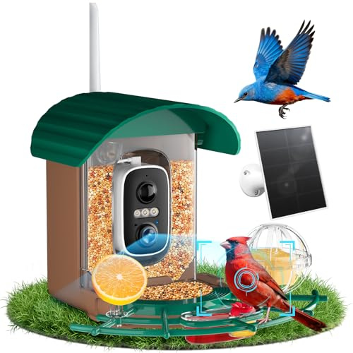 NIORSUN Comedero para Pájaros con Cámara 2K HD, Energía Solar, Reconocimiento IA de Aves, Visión Nocturna en Color, Notificación Instantánea & Grabación Automática | IP65 | 5200mAh | WiFi 2.4 GHz