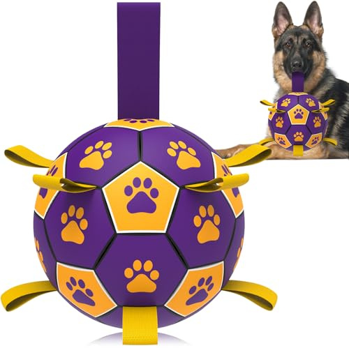 HETOO Hundboll hundleksak boll med rep hundfotboll (9 tum lila) | Interaktiv hundboll för turing, hållbar hög hopp, flytande boll för hundar, födelsedagspresenter, inomhus, utomhus