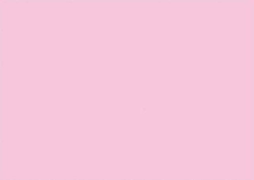Karteikarte Mehrzweckkarte blanko, holzfreies Papier, DIN A4, rosa, 100 Stück Ausführung blanko/rosa Inhalt 100 Stück Größe A4 quer