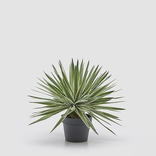 EDG Enzo De Gasperi Agave con Vaso Pianta Artificiale H 45 Cm Verde