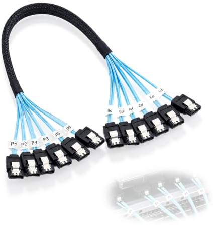 JIXLOUR - Cable SATA 3 de alta velocidad de 6 Gb/s, cable SATA III compatible con servidor, 6 cables de 0,5 m para una transmisión rápida y fiable de los datos