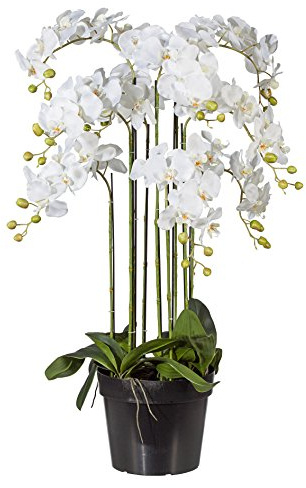Kunstblumen Phalaenopsis Orchidee, ca 110 cm. Weiß. Getopft. | Im schwarzem Kunststofftopf. 27,5 cm Durchmesser.