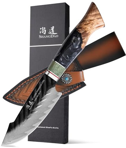 SHANGDAO Coltello multiuso in Damasco Coltello da frutta da 4,8 pollici con fodero in pelle Taglierina per sbucciare in acciaio legato a 67 strati - Manico in resina e legno forgiato a mano