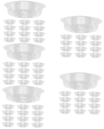 SUPVOX 150piezas Bandejas para Soporte para De Drenaje para Jardín y Decoración Interior