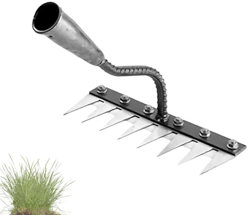 5/6/7/8 Dents Rateau De DéSherbage avec Manche, Portable Rateau De DéSherbage Berthaus pour DéSherber/Ameublir/Semence (8 Dents)