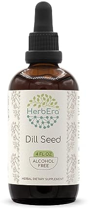 HerbEra Dill Seed B120 Alcohol-Free Herbal Extract Tincture, Super-Concentrated Anethum Graveolens Dried Seed (4 fl oz)
