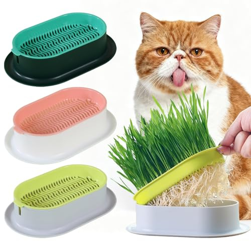Ulawellor Katzengras Pflanzschalen 3 Stück ABS | Mehrschichtiges Design, Bodenfreie Anzucht, Einfacher Wasserwechsel, Wiederverwendbar, für Küche Balkon Indoor-Garten