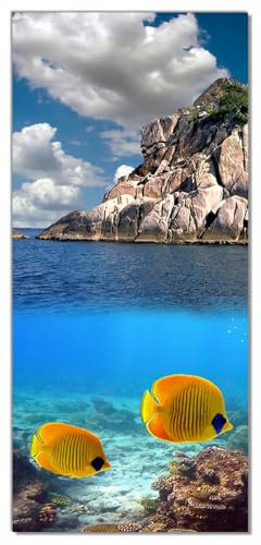 Wallario Selbstklebende Türtapete Exotische Fische im Meer - Türposter 93 x 205 cm Abwischbar, rückstandsfrei zu entfernen