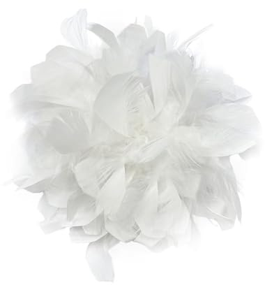 7,87 Pouces Élégante Fleur De Plume Grande Broche Pins De Revers Pour Femmes Hommes Fête De Mariage Danse Banquet Pins Pour Floral Châle Robe Costume Vêtements Accessoires Bijoux Corsage (Blanc)
