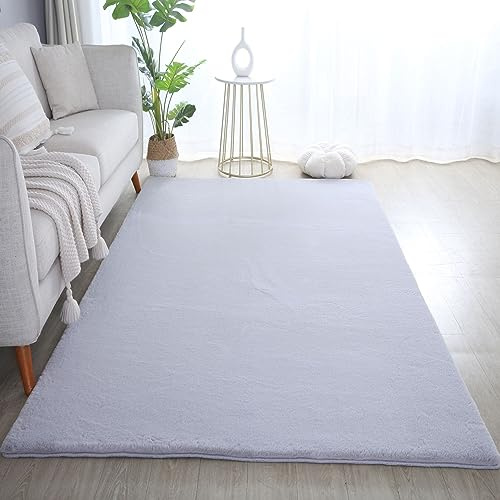 Carpetsale24 Rabbit Hochflor Teppich 120x170 cm Silber Shaggy Modern Flauschig Weich Fellteppich Kunstfell Einfarbig für Wohnzimmer Schlafzimmer Kinderzimmer