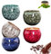5 Pièces Tasses à Expresso en Céramique, 160ml Tasses à Thé, Tasse à Café, Tasse a Cafe Expresso, pour Thé, Expresso, Moka, Ristretto, Macchiato, Cadeau pour Femmes et Hommes