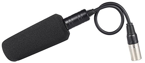 Generico Microfono unidirezionale a condensatore stereo professionale con interfaccia XLR per interviste riunioni fotografia e registrazioni video compatibile videocamere