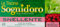 Sognid'Oro - Tisana Snellente, con Tè Verde, Guaranà e Liquirizia - 4 confezioni da 20 filtri [80 filtri, 160 g]