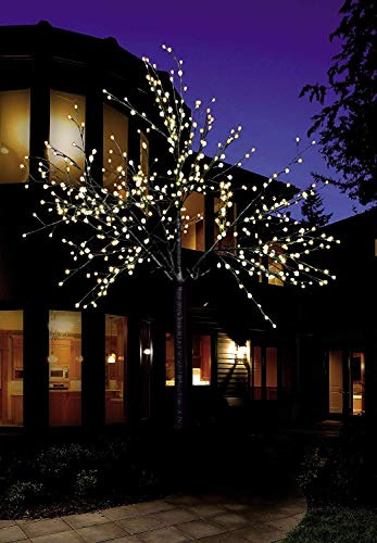 Bonetti Premium LED-träd/varmvitt upplyst/olika ljusträd för inomhus- och utomhusbruk (220 cm med 500 LED)