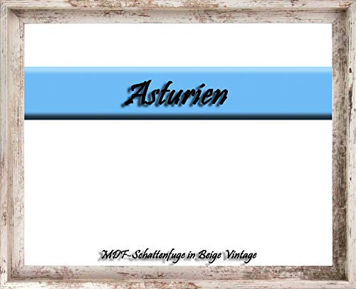 MDF-Leerrahmen ASTURIEN speziell für Leinwandbilder BZW. Keilrahmenbilder im Format 30 x 40 cm. Schattenfugenrahmen in der Farbe: Beige Vintage. 10 Farben zur Auswahl
