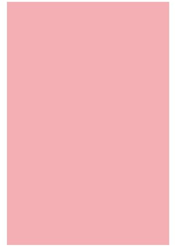 Netuno 20 Blatt Bastelkarton farbig Rosa DIN A4 21 x 29,7 cm 230g Rainbow farbiges Kopierpapier bedruckbar für Inkjet Laser Schule Büro Basteln Druckerpapier bunt Bastelpapier Tonpapier
