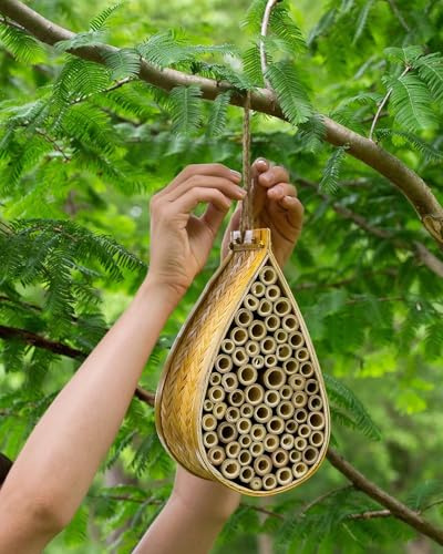 SunVara Wild Pollinator Mason Bee Habitat | Garden Bee House | Hanging Bee House Pack 2