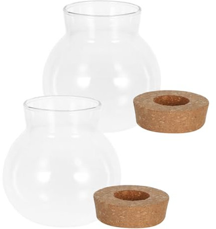CIMAXIC 2 Teiliges Hydrokultur Pflanzvasen Set Kleine Terrarienbehälter Aus Glas Anzuchtgläser Für Den Schreibtisch Glasvasen Für Die Pflanzenanzucht Im Innenbereich 480 Ml