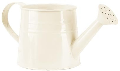 Arrosoir en métal, Arrosoirs Métallique avec poignée, Vintage Acier galvanisé, Style Anglais Classique, pour Un arrosage Quotidien, Plantes d'intérieur et d'extérieur, 24,5×11,5 cm (Beige)