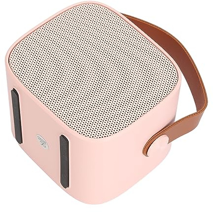 Mini Karaoke Machine Portatile con 2 Microfoni per Bambini e Adulti Rosa