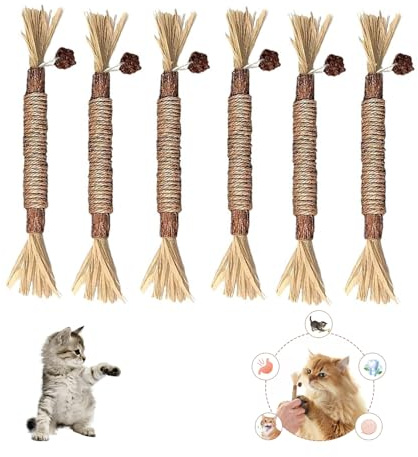 Huicare Kattmynta pinnar tandvård för katter, 6 stycken kattmynta pinnar katter tandvårdsleksaker, hjälper till med tandsten och dålig andedräkt hälsosam och hygien tandvård