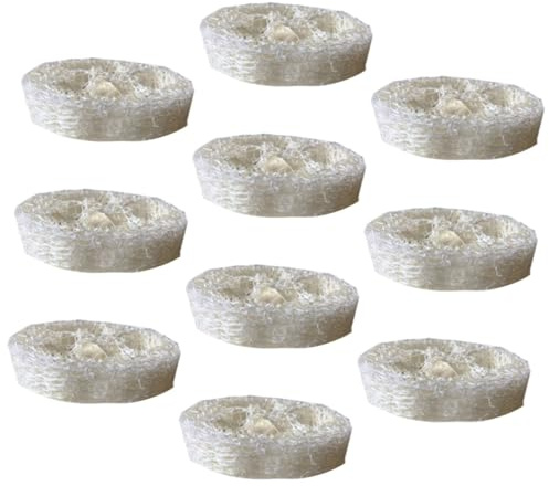 DOITOOL 10pcs Natural Loofah Dishwashing Sponges Reusable Kitchen Scrubbers Non-Scratch Cleaning Pads for Dishes Bathroom Sinks Lightweight and Absorbent Household Use