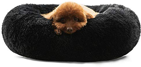 HACHIKITTY Tierhaarschneidemaschine Hundeschermaschine