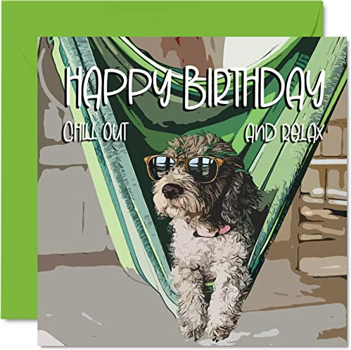 Stuff4 Lustige Geburtstagskarten für Männer und Frauen, Chill Cool Dog | Happy Birthday Karte für Arbeit, Kollegen, Freund, Bruder, Schwester, Mutter, Vater, Sohn, Tochter, Oma, Großvater, 145 mm